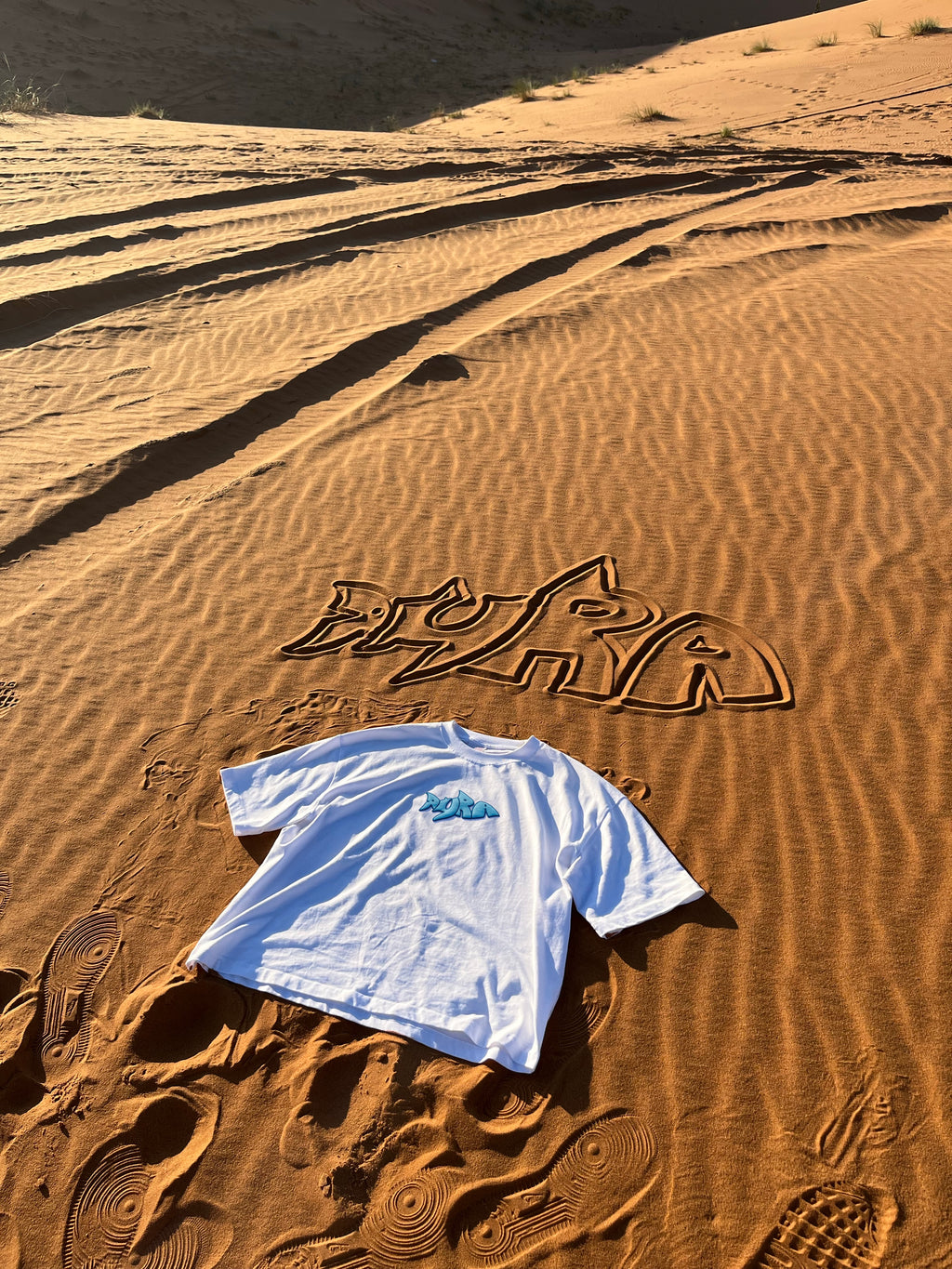 SHARK SEASON 04- BOXY